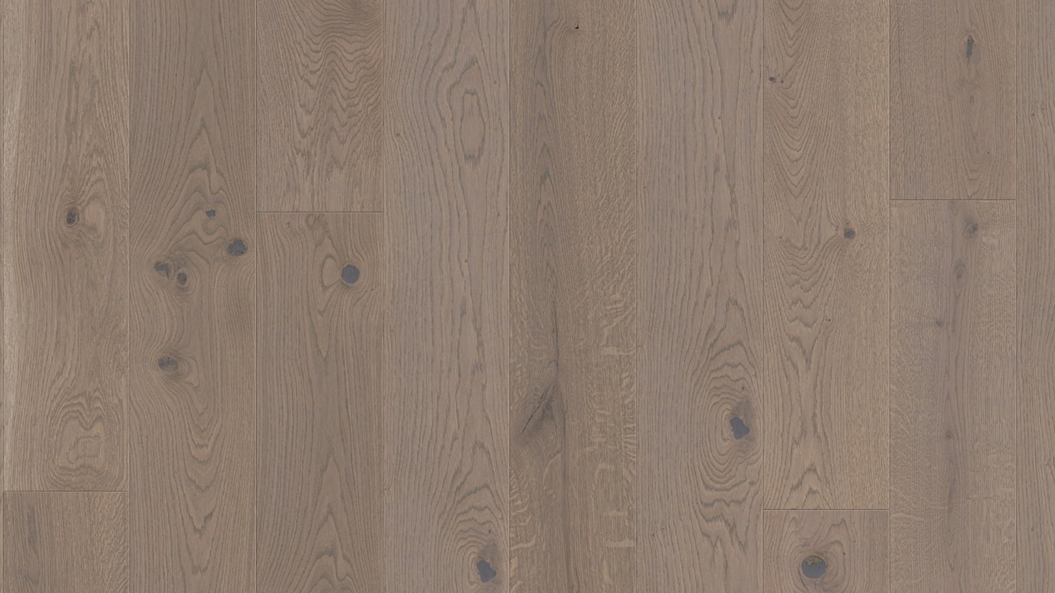Паркетная доска Weitzer Parkett Diele 1800 Дуб Устрица 65022 ProActiv+ lebhaft