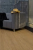 Кварцевый ламинат Steinholz Блюм STH065E